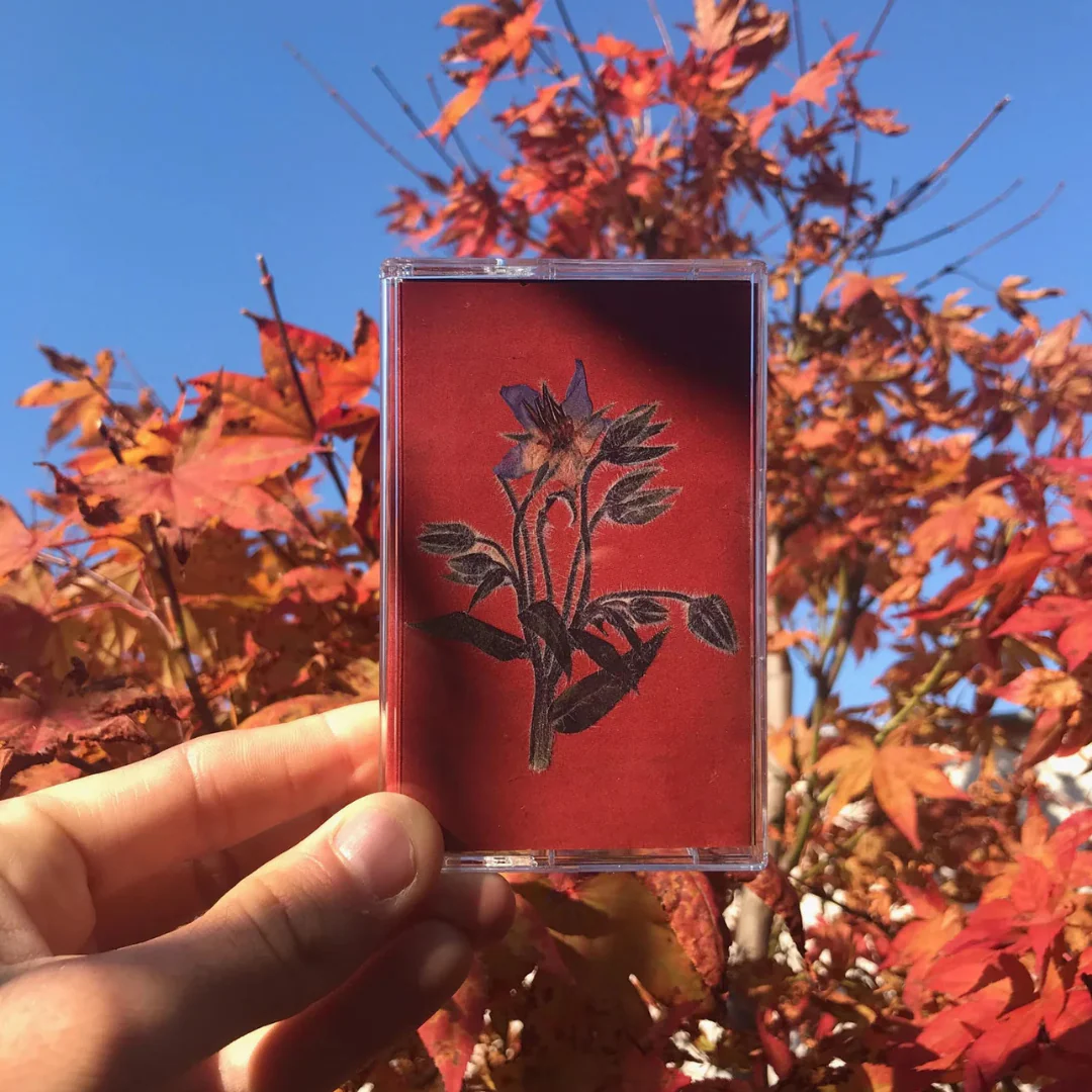 Miniature 1